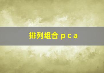 排列组合 p c a